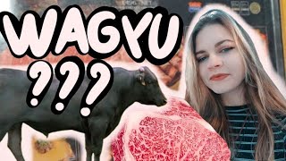 Vlog 4  JE GOUTE DU WAGYU [upl. by Bowers]