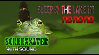 Can you sleep by the Lake Screensaver Frog in water SCREENSAVER WALLPAPER screensaver viral [upl. by Pigeon]