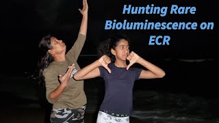 FirstTime Bioluminescence Hunt on Chennai’s ECR Road  Blue Light in Chennai Beaches [upl. by Onidranreb]