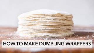 How to Make Dumpling Wrappers Dumpling Skins餃子皮  Lisa Lin [upl. by Kevyn]