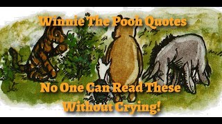 Honey for the Soul  Quotes  Winnie the Poohs Words of Wisdom [upl. by Aed]