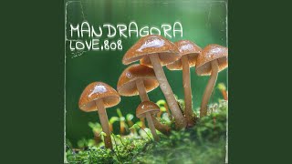 Mandragora [upl. by Attenna]