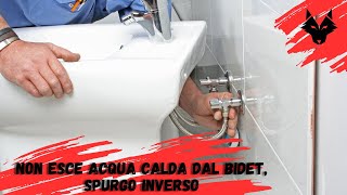 Non esce acqua calda dal bidet come risolvere [upl. by Afrika746]