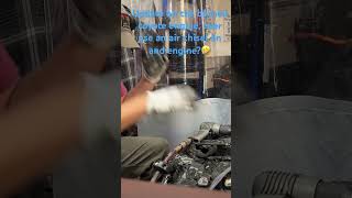 Burned up coyote engine update…air chisel on an engine [upl. by Unders]