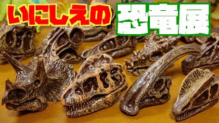 リアルな作りでかっこいい恐竜の化石ガチャ いにしえの恐竜展【2億3000万年前で君と会う】全12種類を開封紹介 [upl. by Lirret]