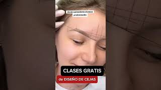 CEJAS PERFECTAS PASO A PASO brows browstutorial browsclasses visagismodecejas miamibrows [upl. by Amoeji]