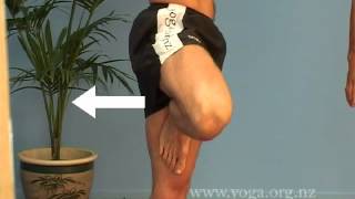 Beginners Online Yoga Class  Classes of 20 Yoga postures [upl. by Sayer]