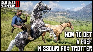 MISSOURI FOX TROTTER  Red Dead Redemption 2 Story Mode [upl. by Johannes466]