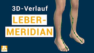 Der Lebermeridian  3DVerlauf von Punkt zu Punkt [upl. by Ylrevaw]