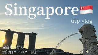 【シンガポール🇸🇬】深夜便で行く2泊3日コンパクト旅行✈️パークロイヤルコレクションマリーナベイANA [upl. by Elocel202]