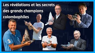 Les révélations et les secrets des grands champions colombophiles [upl. by Gurl]