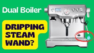 Breville Dual Boiler BES920  Leaking Steam Wand Repair [upl. by Giamo228]