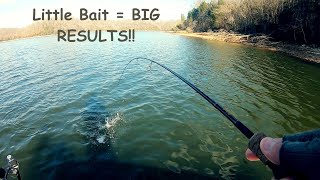 This BAIT Is A GAME CHANGER For CRAPPIE [upl. by Alihet]