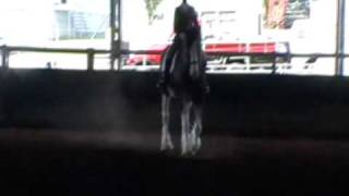 Gatton Clydesdale Dressagewmv [upl. by Ecitsuj]