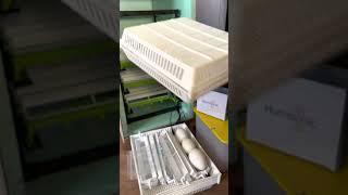 Review of Hatching Time Incubation Products for DIY Incubator [upl. by Obeng]