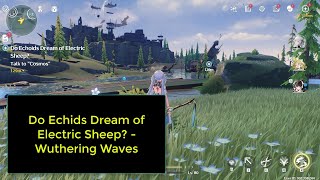 Do Echoids Dream of Electric Sheep – A Complete Guide to Wuthering Waves’ Latest Event [upl. by Nelra]