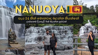 නානු ඔය  Exploring Nanu Oya Sri Lanka [upl. by Ginny625]