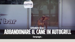 Come reagisci allabbandono di un cane in autogrill ESPERIMENTO SOCIALE [upl. by Itnavart]