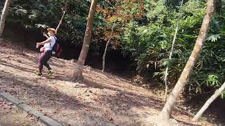 Sweet Gum Woods Adventure amazing explore viralvideo tekjingvlog [upl. by Jeannine]