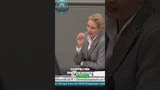 Alice Weidel  Merkels Energiewende Höchste Strompreise in Europa [upl. by Aratahc576]