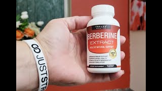 Reviewing Berberine Supplements [upl. by Anirtal231]