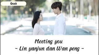 Lyrics  Meeting you  Lin yanjun amp Wan peng ost Crush [upl. by Baalman352]