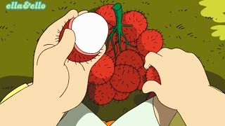 Kutahu Nama Buah  Rambutan Mangga Pisang  Puri Animation [upl. by Cobby]