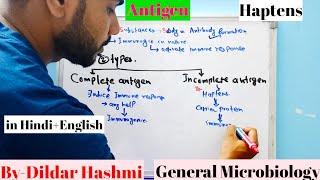 AntigenIncomplete Antigen Haptens [upl. by Eico281]