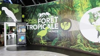 Biodome de Montreal Tropical Rainforest Birds amp Animals  Canada [upl. by Kendal]