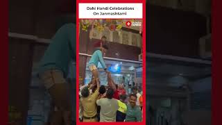 Dahi Handi Celebrations Held At Shri Siddhivinayak Temple ƒor Shri Krishna Janmashtami [upl. by Arutak]