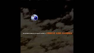 In Keeping Secrets of Silent Earth 3 by Coheed and Cambria but in the SM64 Soundfont [upl. by Luing]