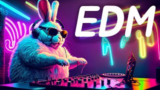 클럽 누나들이 좋아 할 만한 빵빵 EDM 130 bpm [upl. by Aisinut]