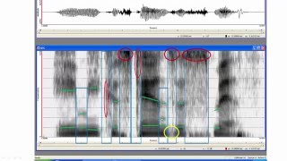 Step by step through a spectrogram [upl. by Stillas263]