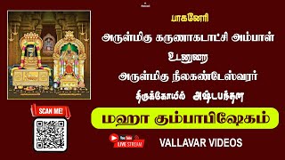 பாகனேரி அருள்மிகு கருணாகடாட்சி அம்பாள் உடனுறை நீலகண்டேஸ்வரர் திருக்கோயில்  மஹா கும்பாபிஷேகம் [upl. by Freeborn]