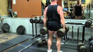 Dumbbell Stiff Legged Deadlifts [upl. by Sualohcin]