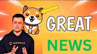 Baby Dogecoin News Today  682 Trillion Burning  BabyDoge Coin Price Pump 119x  Binance Listing [upl. by Nylrahc352]