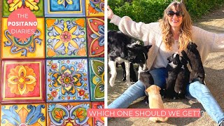 THE KITCHEN REDO BEGINS WITH PUPPY INTERLUDES  The Positano Diaries EP 165 [upl. by Arly388]