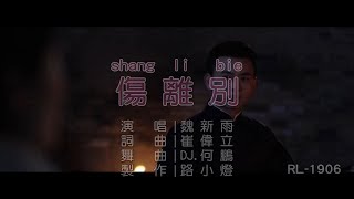 魏新雨  傷離別  DJ版  1080PKTV [upl. by Franky579]