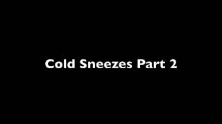 Cold Sneezes Part 2 [upl. by Jaddan585]