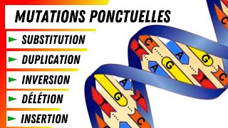 5 Types de mutations ponctuelles Explication détaillée [upl. by Maiocco]