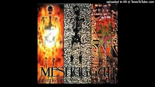 04 Meshuggah  Transfixion [upl. by Chan]