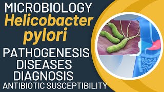 Helicobacter pylori pathogenesis  H pylori virulence factors  H pylori test [upl. by Atnoek448]