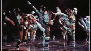 Cats the Musical Video Cast [upl. by Kinnon317]