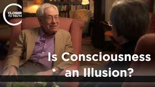 Hubert Dreyfus  Is Consciousness an Illusion [upl. by Julianne]