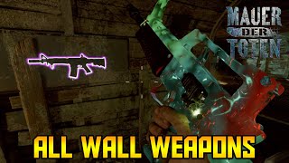 Mauer Der Toten  All Wall Weapon Locations Black Ops Cold War Zombies [upl. by Grigson105]