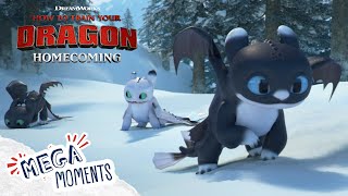 How To Train Your Dragon in REAL LIFE [upl. by Ylnevaeh]