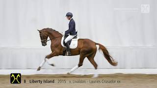 135 EliteAuktion am 13 OktoberNr 8 Liberty Island v Livaldon  Lauries Crusador xx [upl. by Gaynor446]