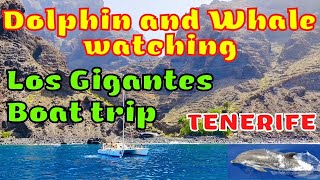 Dolphin and Whale watching tour Boat trip Los Gigantes Tenerife 2022 [upl. by Naujit]