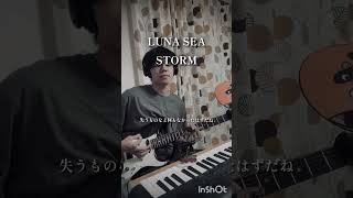 LUNA SEASTORM guitar ギター ルナシー 弾いてみた lunasea guitar [upl. by Weaver555]