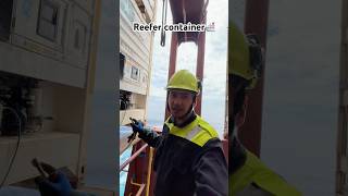 Reefer container kaa maintenance krte hue🛳️☠️🗿 explore travel ship shortvideo [upl. by Moulton957]